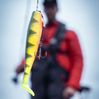 Fox Rage Zander Pro Shads Loaded